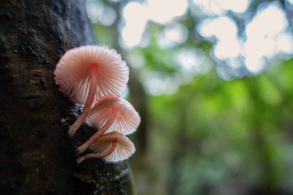 2026.4.7-4.12 写真表現大学 & Eスクール「2025年度 修了制作展」同時代ギャラリー（京都）