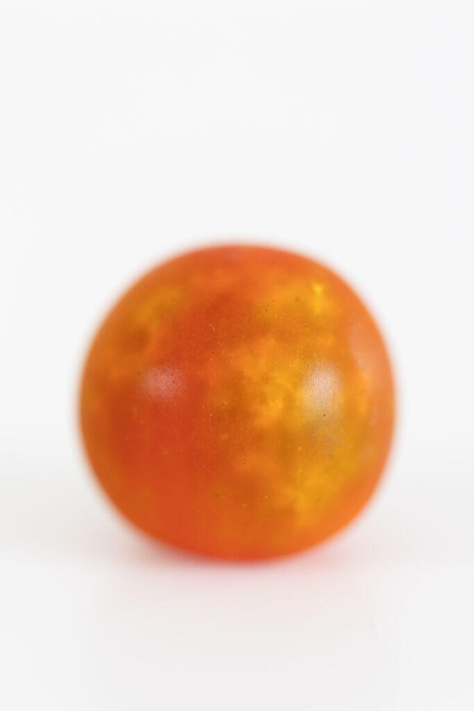 2026.4.7-4.12 写真表現大学 & Eスクール「2025年度 修了制作展」同時代ギャラリー（京都）