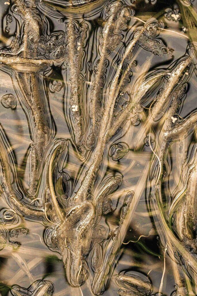 2026.4.7-4.12 写真表現大学 & Eスクール「2025年度 修了制作展」同時代ギャラリー（京都）