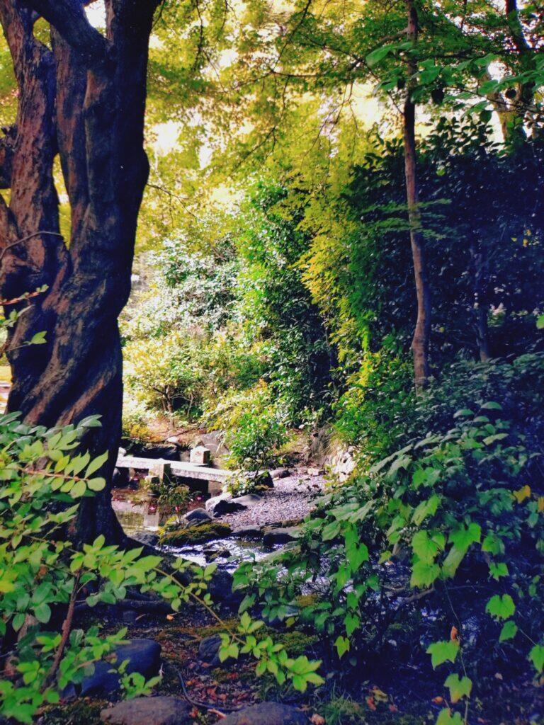 2026.4.7-4.12 写真表現大学 & Eスクール「2025年度 修了制作展」同時代ギャラリー（京都）