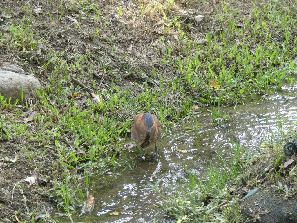 2026.4.7-4.12 写真表現大学 & Eスクール「2025年度 修了制作展」同時代ギャラリー（京都）