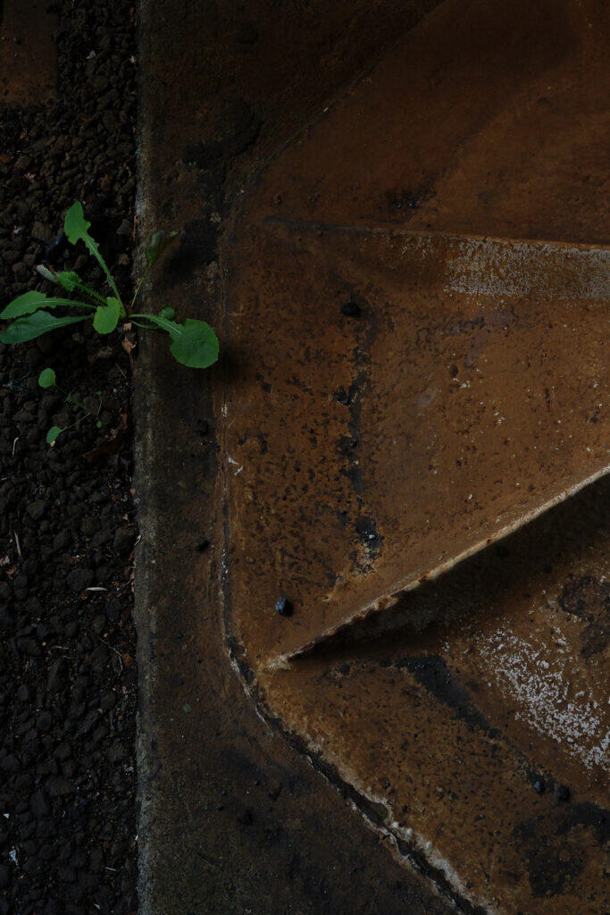 2026.4.7-4.12 写真表現大学 & Eスクール「2025年度 修了制作展」同時代ギャラリー（京都）