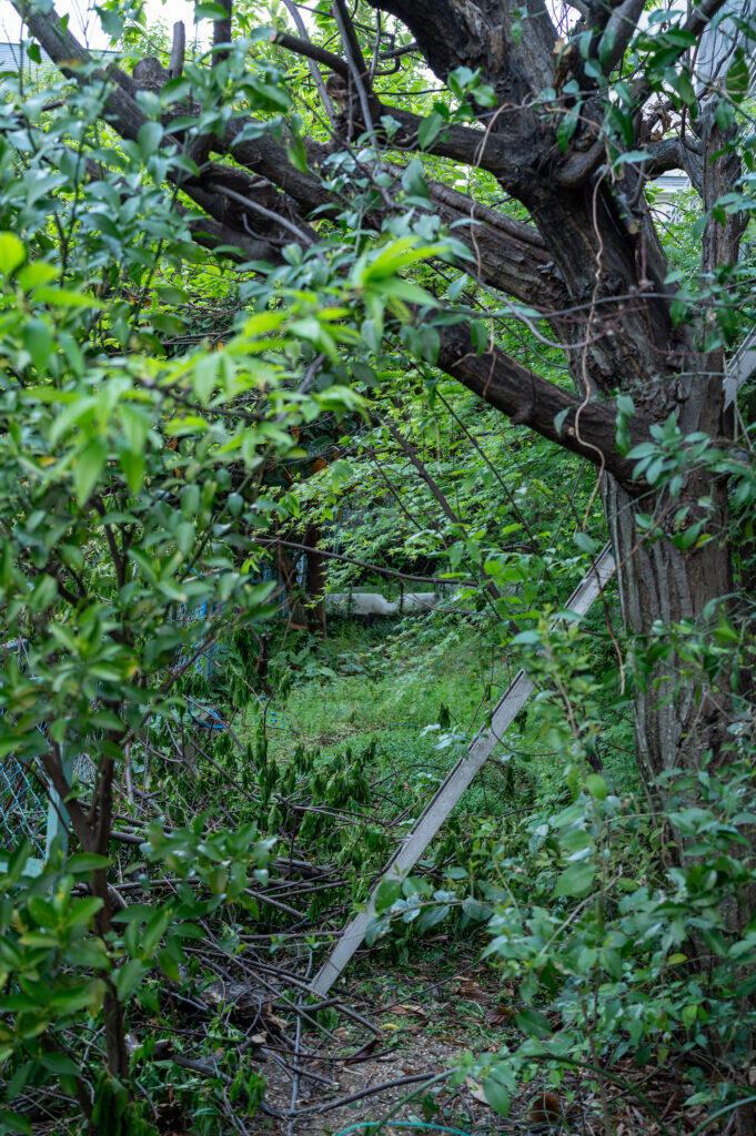 2026.4.7-4.12 写真表現大学 & Eスクール「2025年度 修了制作展」同時代ギャラリー（京都）