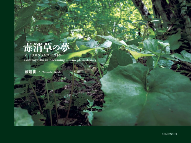 写真家の渡邊 耕一（写真表現大学＆Eスクールの前身であるIMI研究所写真コース出身）が「2023さがみはら写真賞 プロの部門」を受賞されました