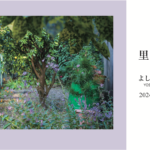 よしざき しほ 写真展「里庭」同時代ギャラリー（京都）