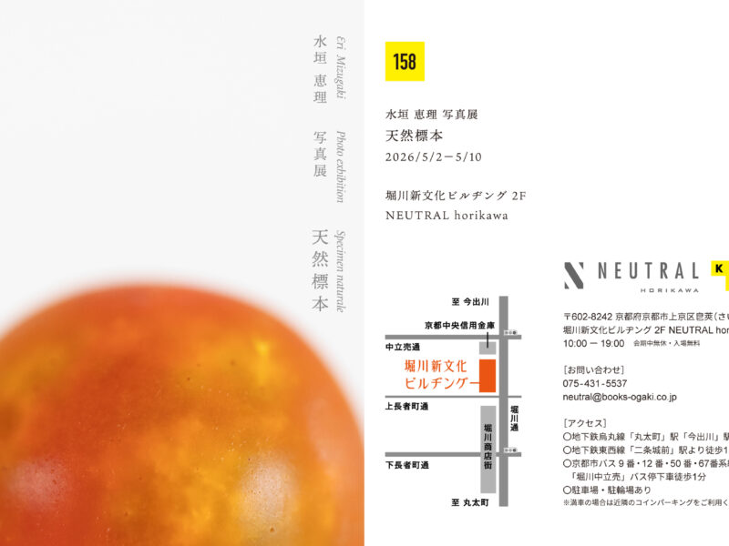 水垣 恵理 個展「天然標本」NEUTRAL horikawa（京都）