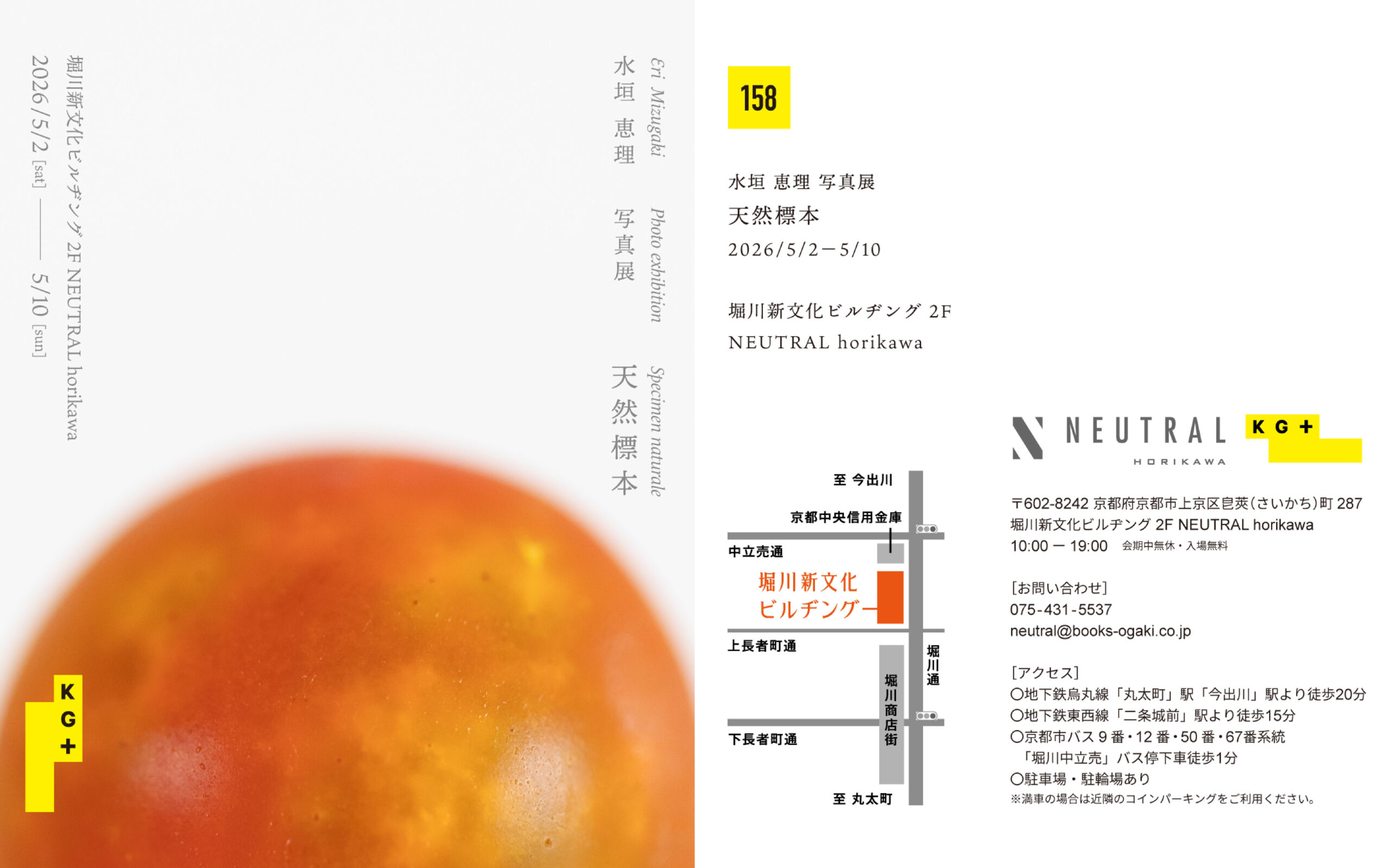 水垣 恵理 個展「天然標本」NEUTRAL horikawa（京都）